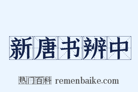 新唐书辨中是什么意思的图片